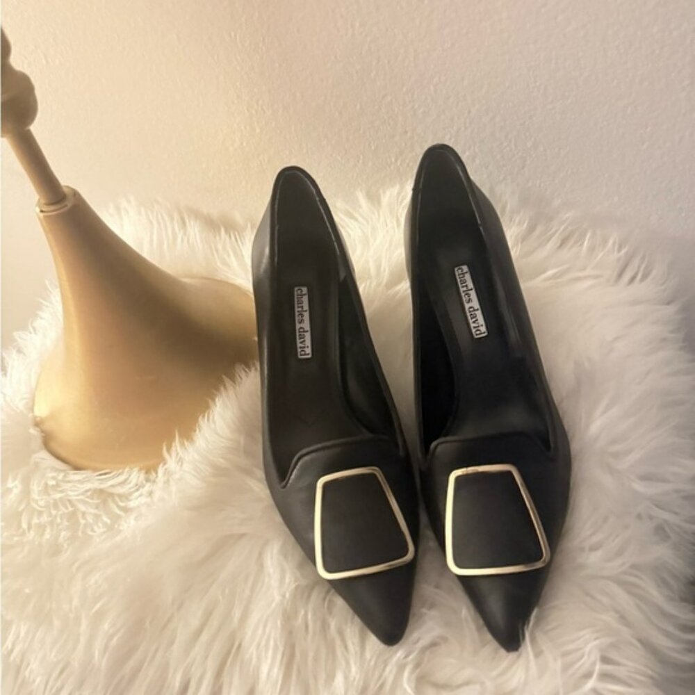 Stunning Charles David Black Pumps